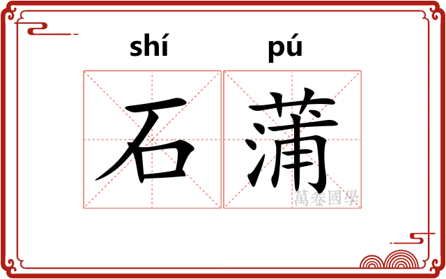 石蒲