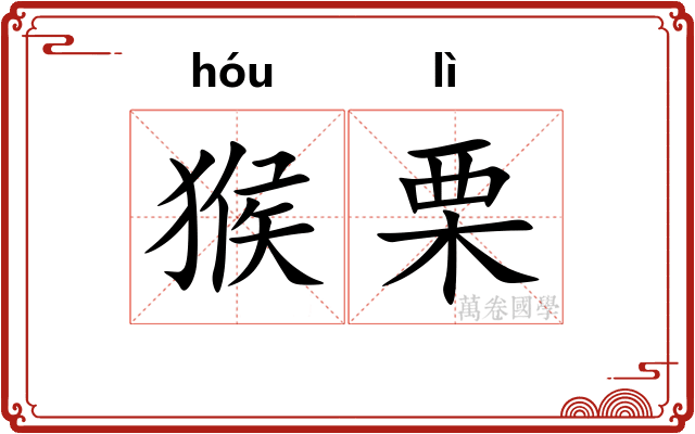 猴栗