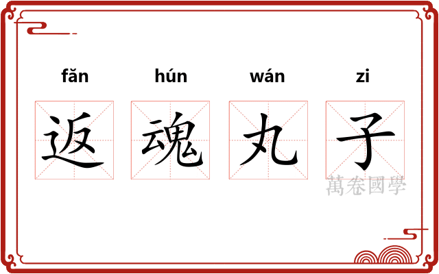 返魂丸子 返魂丸子