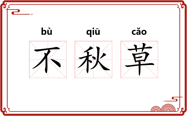 不秋草 不秋草