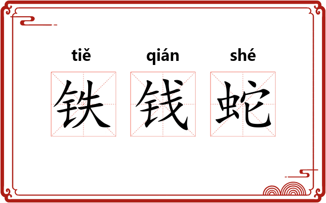 铁钱蛇