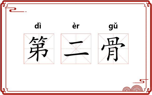 第二骨