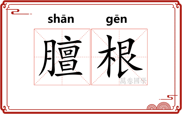 膻根