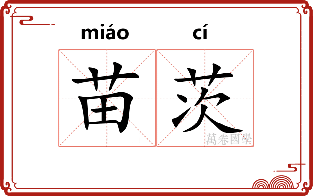 苗茨