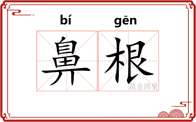 鼻根