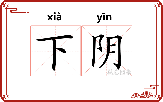 下阴