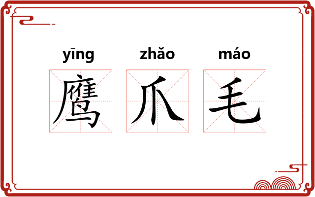 鹰爪毛