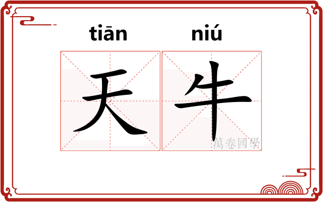 天牛