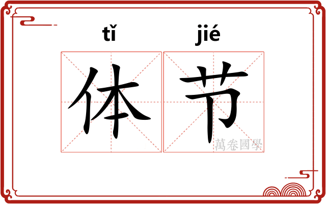 体节