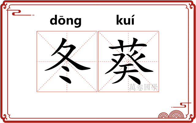 冬葵