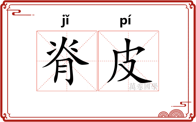 脊皮