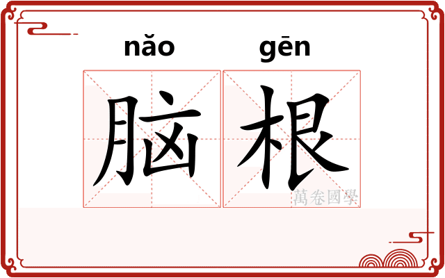 脑根