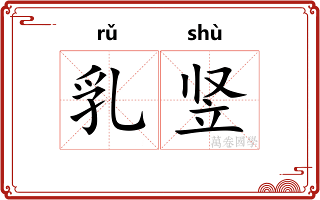 乳竖 乳竖