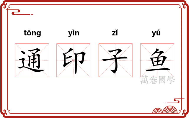 通印子鱼