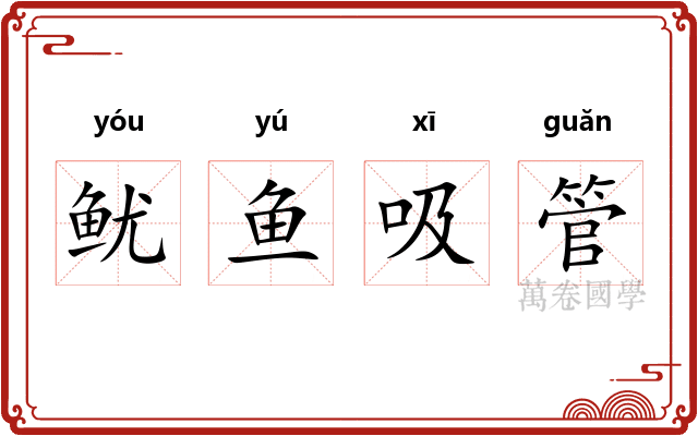 鱿鱼吸管 鱿鱼吸管