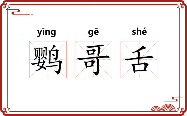 鹦哥舌