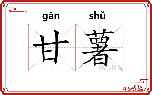 甘薯 甘薯
