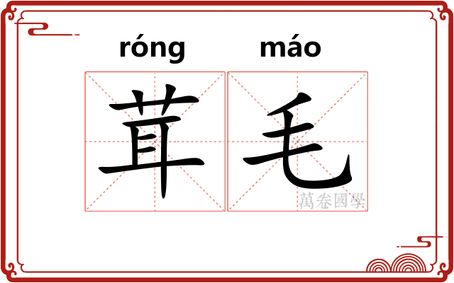 茸毛 茸毛