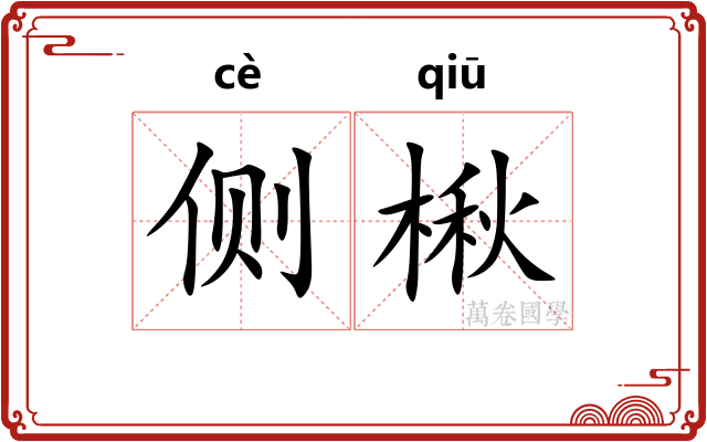 侧楸