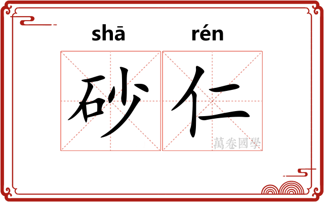 砂仁