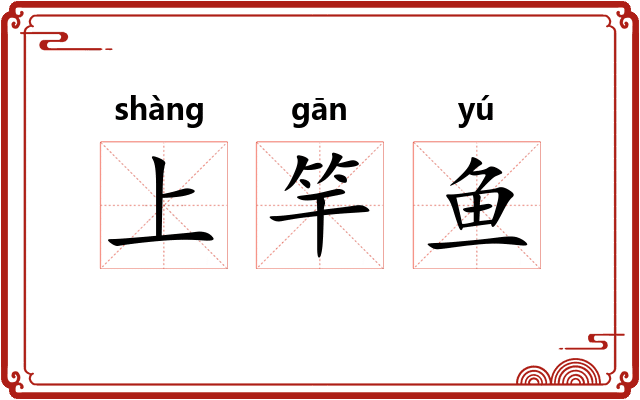 上竿鱼