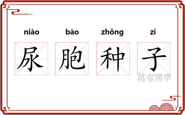 尿胞种子 尿胞种子