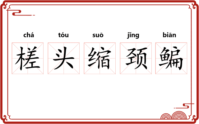 槎头缩颈鳊