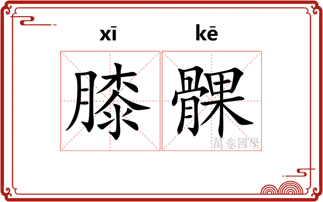 膝髁
