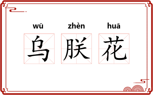乌朕花