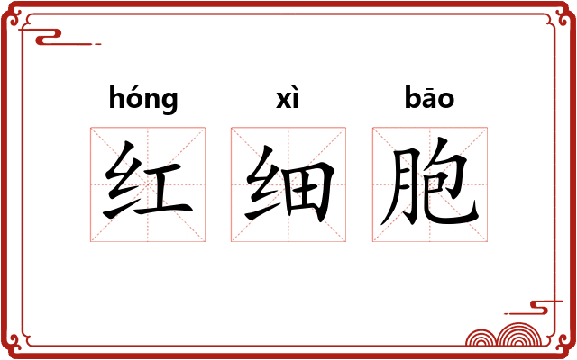 红细胞 红细胞
