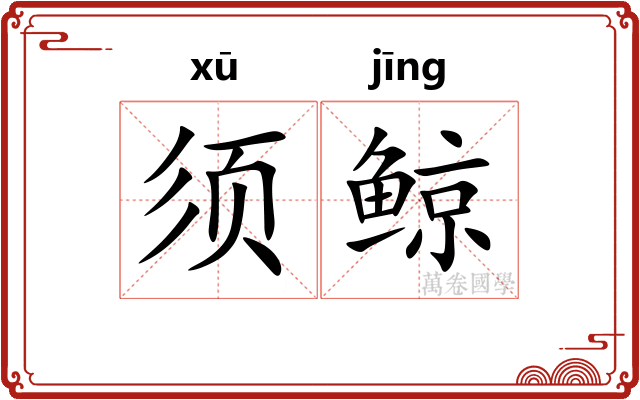 须鲸