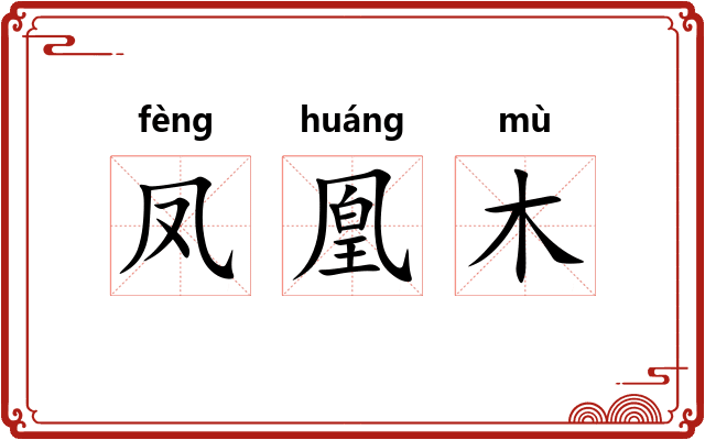 凤凰木