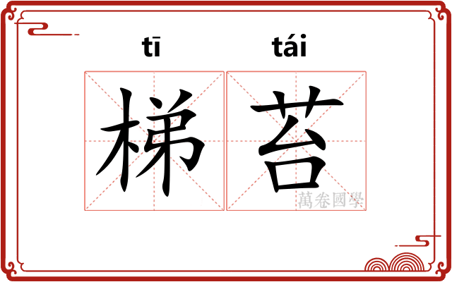 梯苔