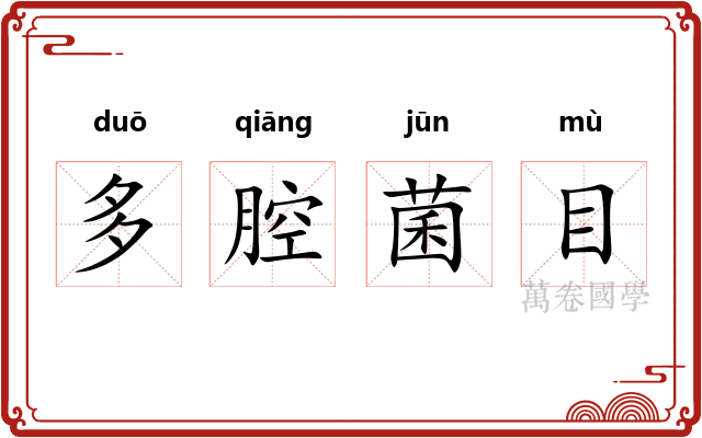多腔菌目