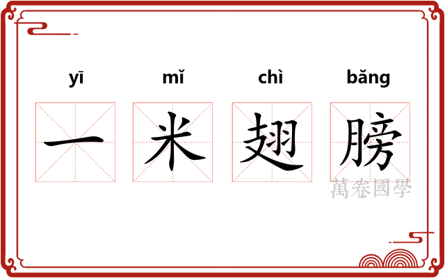 一米翅膀