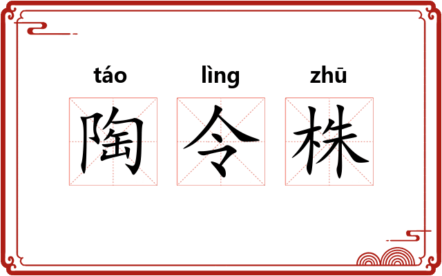 陶令株