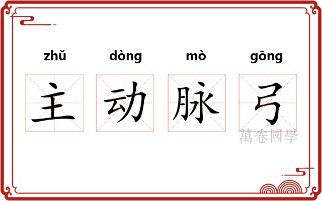 主动脉弓 主动脉弓