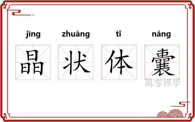 晶状体囊