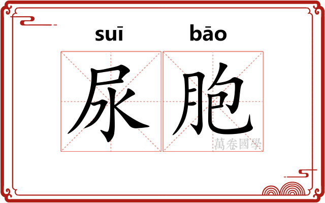 尿胞
