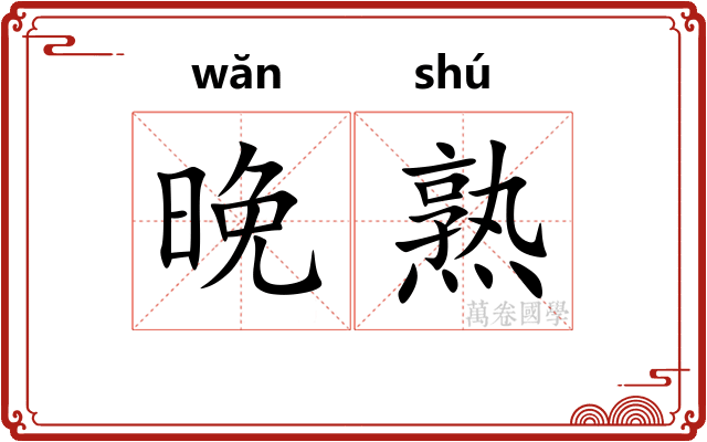 晚熟 晚熟