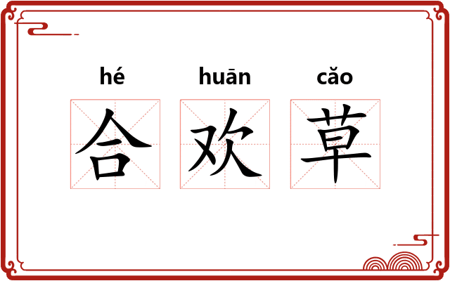 合欢草 合欢草