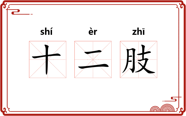 十二肢