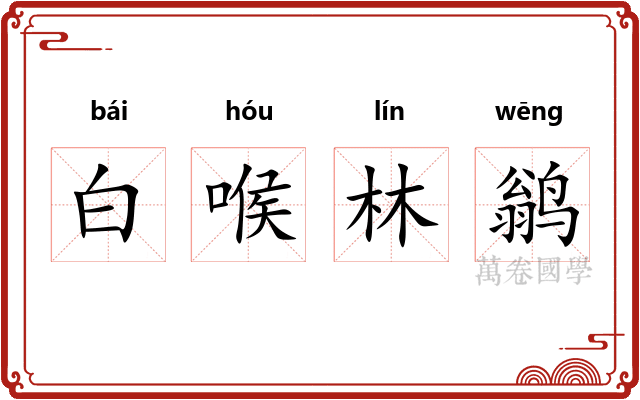 白喉林鹟