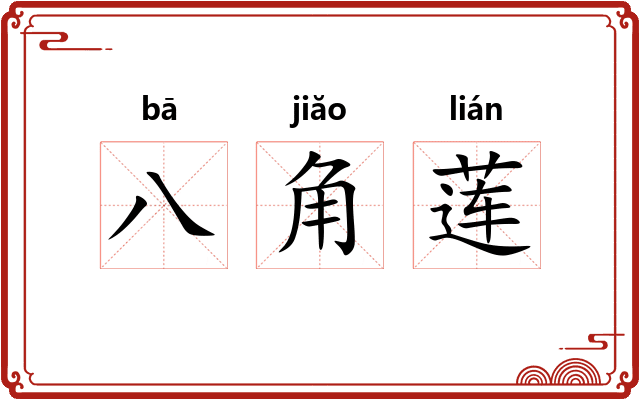 八角莲