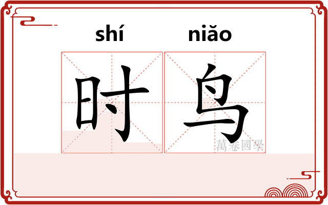 时鸟