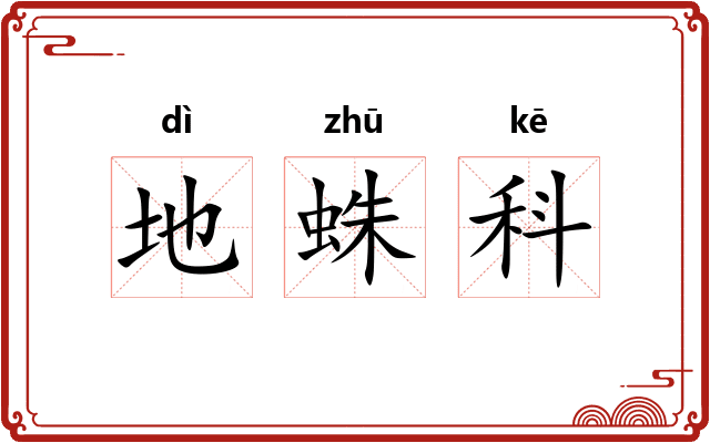 地蛛科