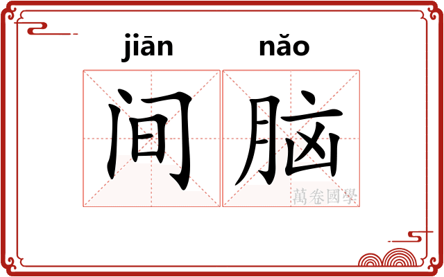 间脑 间脑
