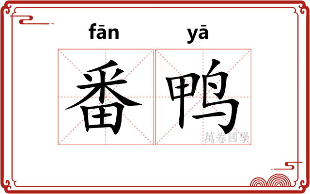 番鸭