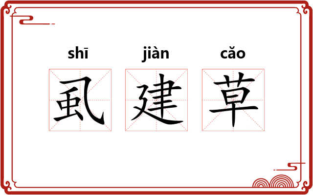 虱建草