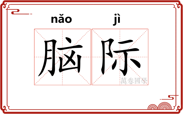 脑际 脑际